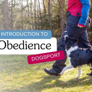 obedience dogsport